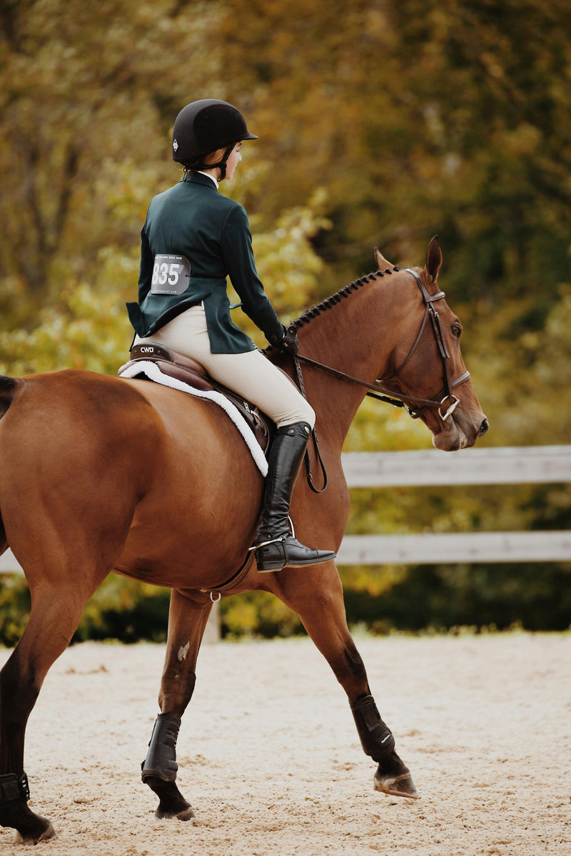 Woman wearing equestrian fashion on a brown horse